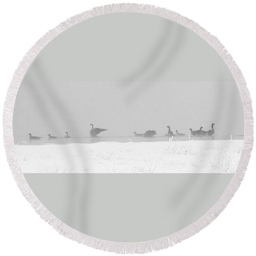 Geese Round Beach Towel featuring the photograph Geese by Steven Ralser