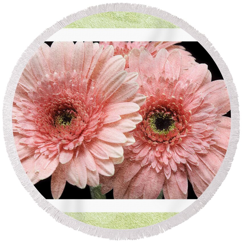 Gerber Round Beach Towel featuring the photograph Gerber Daisy 4 by Andee Design