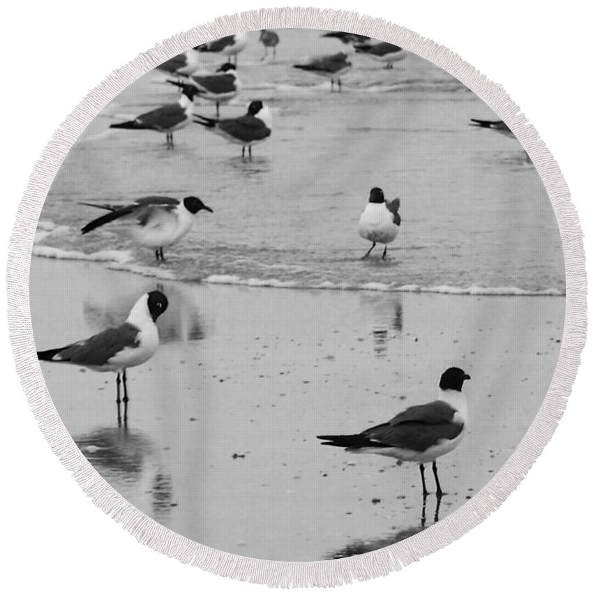 Seagull Round Beach Towel featuring the photograph Gettin' Our Feet Wet by Melinda Ledsome
