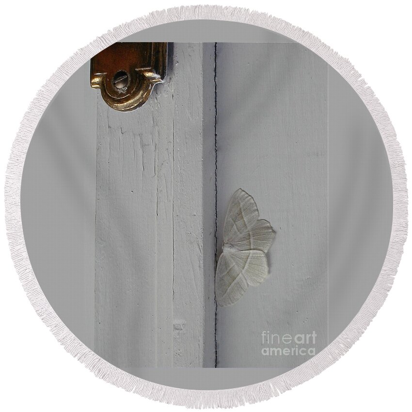 Insects Round Beach Towel featuring the photograph Ghost Doorbell Moth by Christopher Plummer