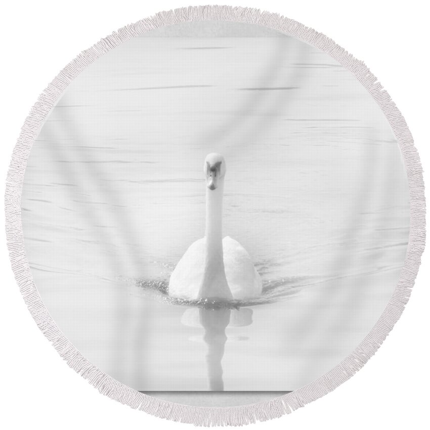 Swan Round Beach Towel featuring the photograph Ghostly White by Lynn Bolt