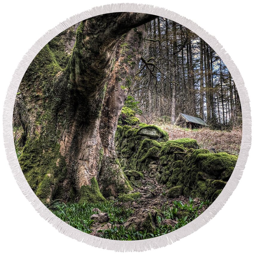 Glenariff Round Beach Towel featuring the photograph Glenariff Forest by Nigel R Bell