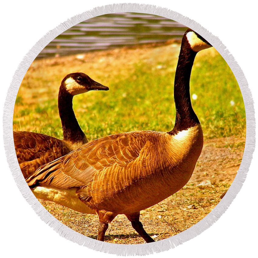 Geese Round Beach Towel featuring the photograph Go Geese by LeLa Becker