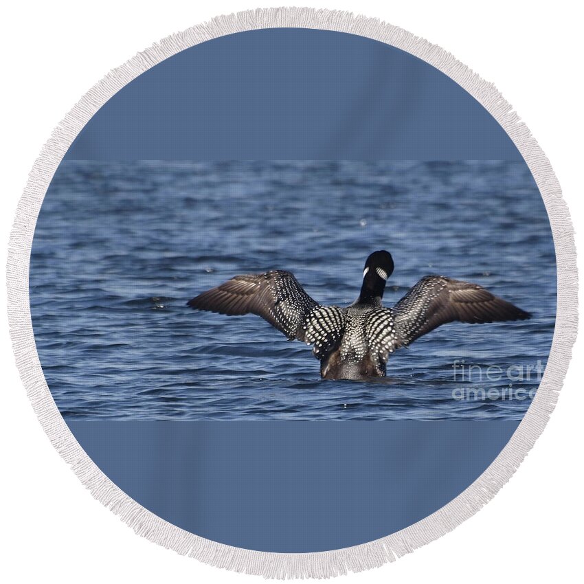 Loon Round Beach Towel featuring the photograph Goin' Looney by Vivian Martin
