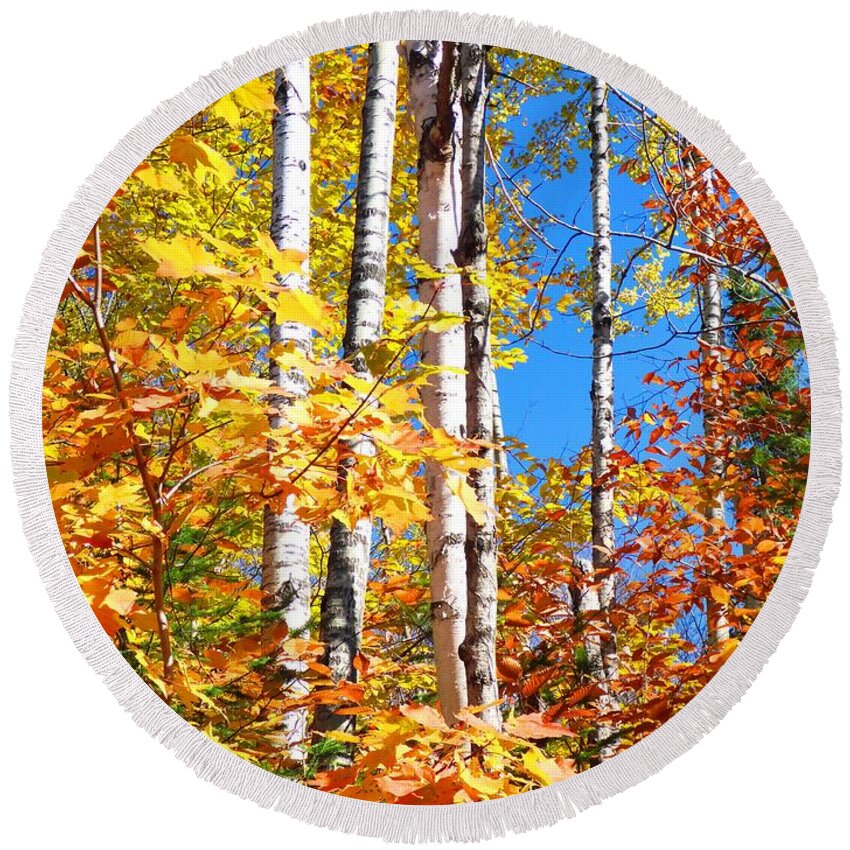 Autumn Round Beach Towel featuring the photograph Gold Autumn by Cristina Stefan