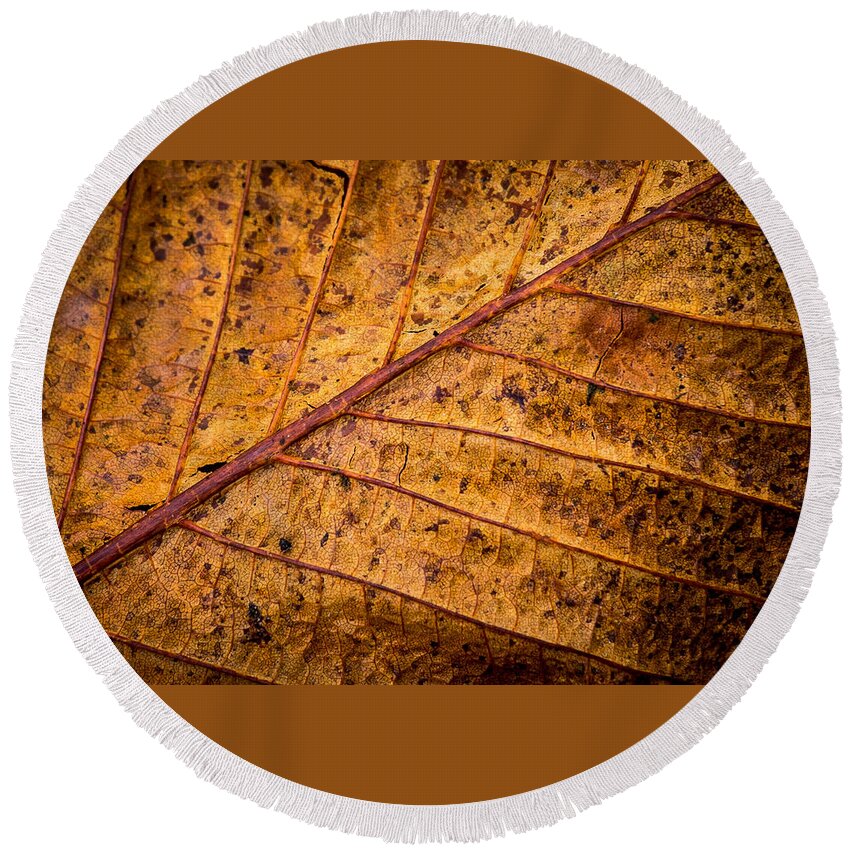 Leaf Round Beach Towel featuring the photograph Gold Leaf by Nigel R Bell