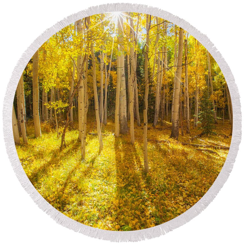 Aspens Round Beach Towel featuring the photograph Golden by Darren White