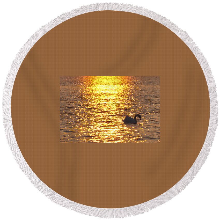Swan Round Beach Towel featuring the photograph Golden Swan by Terry DeLuco