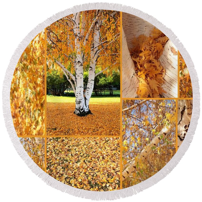 Weeping Birch Tree Round Beach Towel featuring the photograph Golden Weeping Birch Tree Collage by Carol Groenen