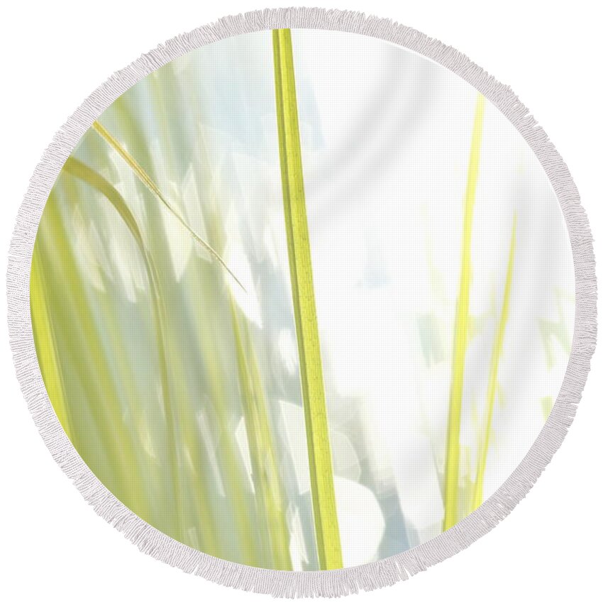 Balance Round Beach Towel featuring the photograph Grasses and lake - high key - available for licensing by Ulrich Kunst And Bettina Scheidulin