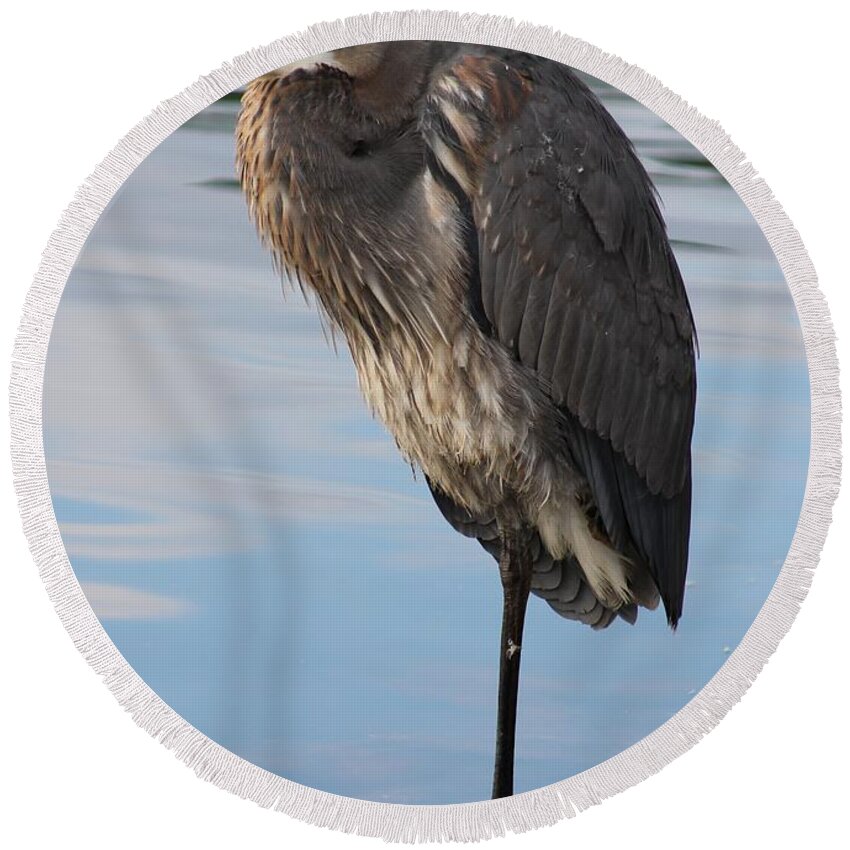 Ornithology Round Beach Towel featuring the photograph Great Blue Heron at Deep Water Lagoon by Robert Banach