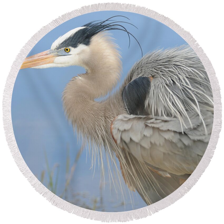 Great Blue Heron Round Beach Towel featuring the photograph Great Blue Heron by Bradford Martin