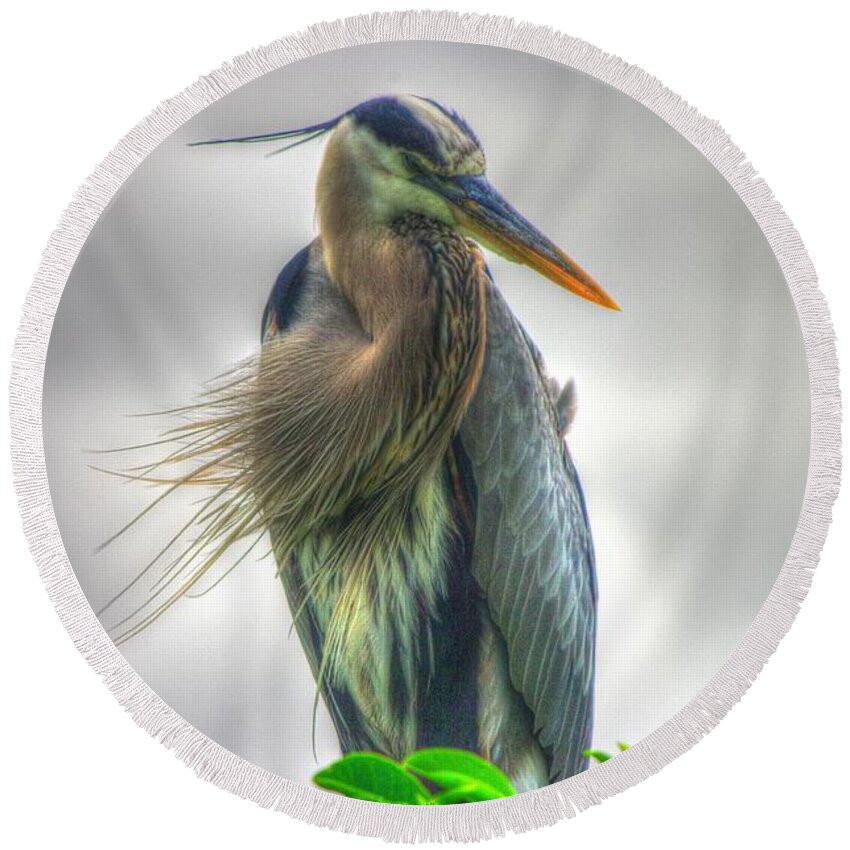 Great Blue Heron Round Beach Towel featuring the photograph Great Blue Heron by Dennis Baswell