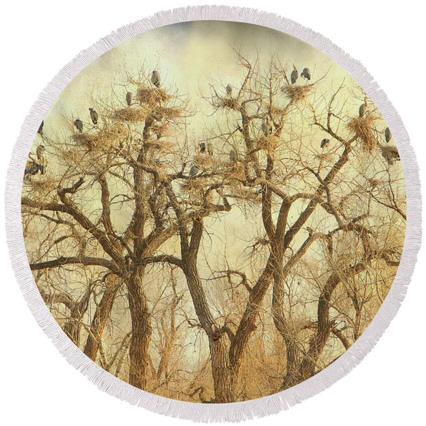 Blue Heron Round Beach Towel featuring the photograph Great Blue Heron Hangout Fine Art by James BO Insogna