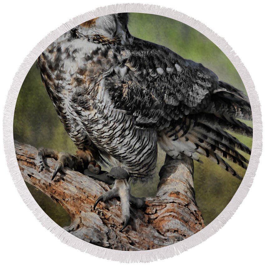 Owl Round Beach Towel featuring the photograph Great Horned Owl on Branch by Deborah Benoit