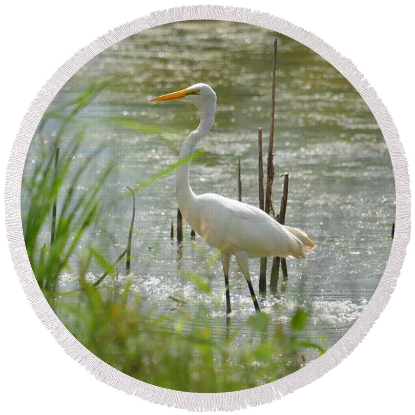 Great White Egret 15-01 Round Beach Towel featuring the photograph Great White Egret 15-01 by Maria Urso