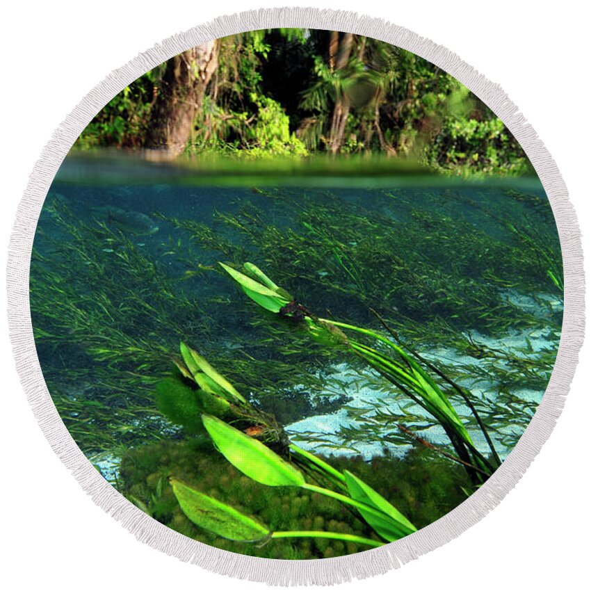 Underwater Round Beach Towel featuring the photograph Green flow by Artesub