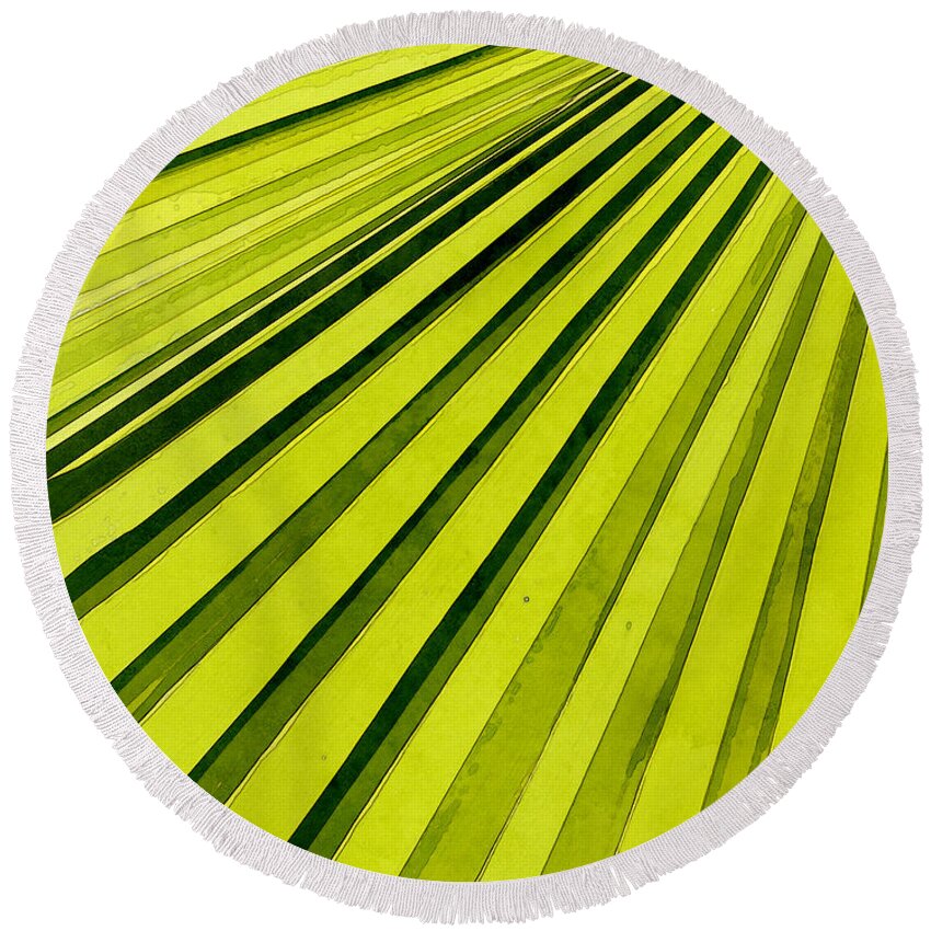 Palms Round Beach Towel featuring the photograph Green Palm Frond by Phil Perkins
