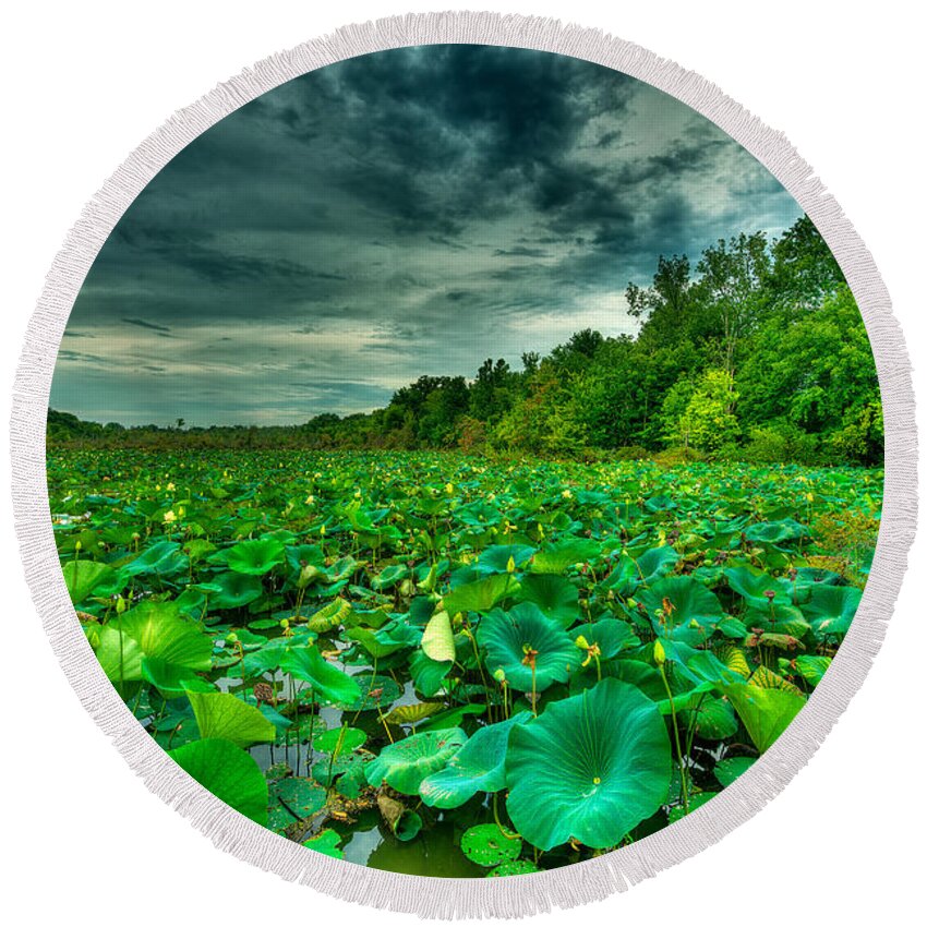 Swamp Round Beach Towel featuring the photograph Green Swamped by Brett Engle