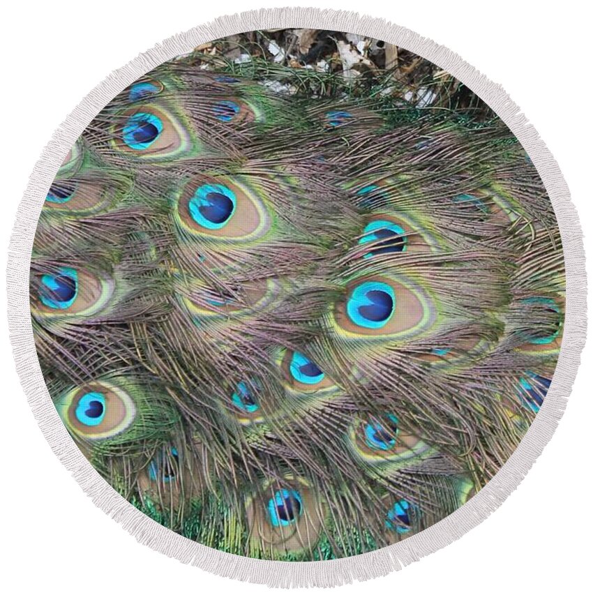 Peacock Round Beach Towel featuring the photograph Ground cover by Lois Tomaszewski