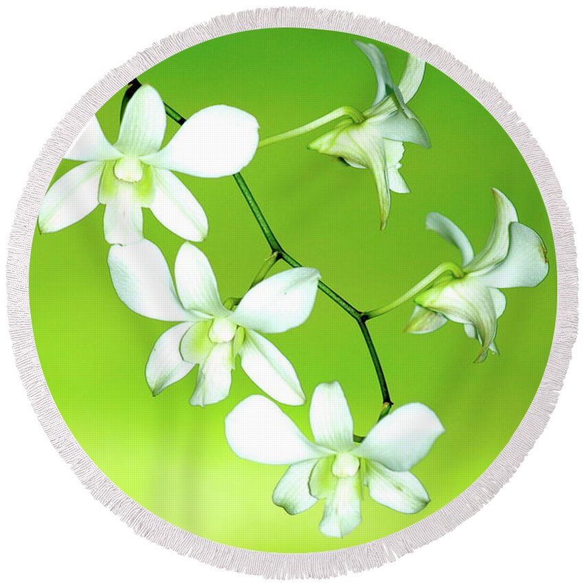 Orchids Round Beach Towel featuring the photograph Hanging White Orchids by Lehua Pekelo-Stearns