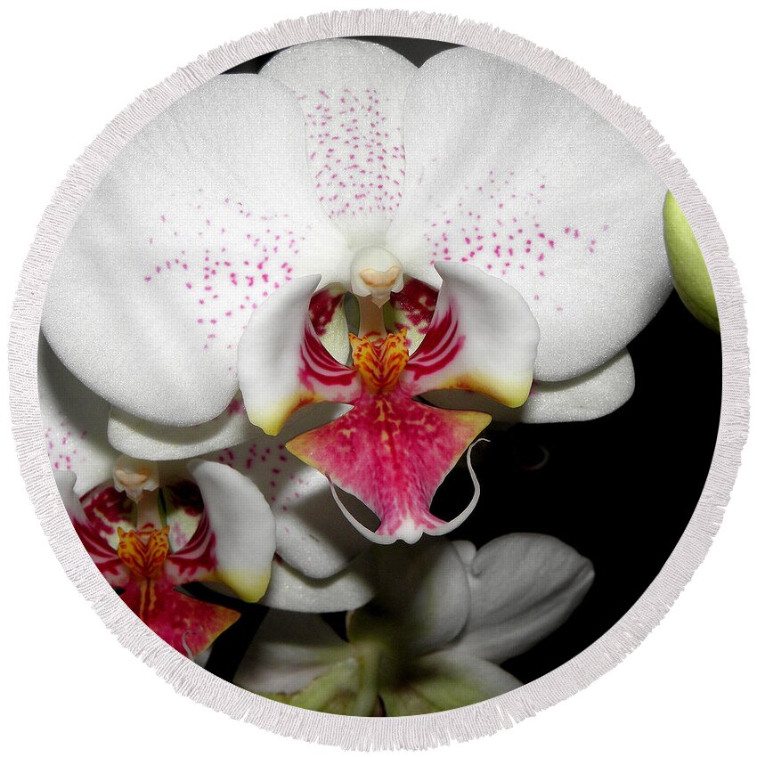 Orchid Round Beach Towel featuring the photograph Happy Blooms by Kim Galluzzo