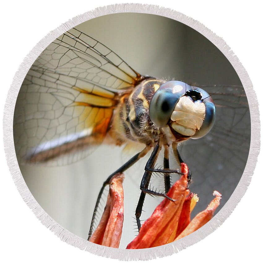 Nature Round Beach Towel featuring the photograph Happy Dragonfly by William Selander