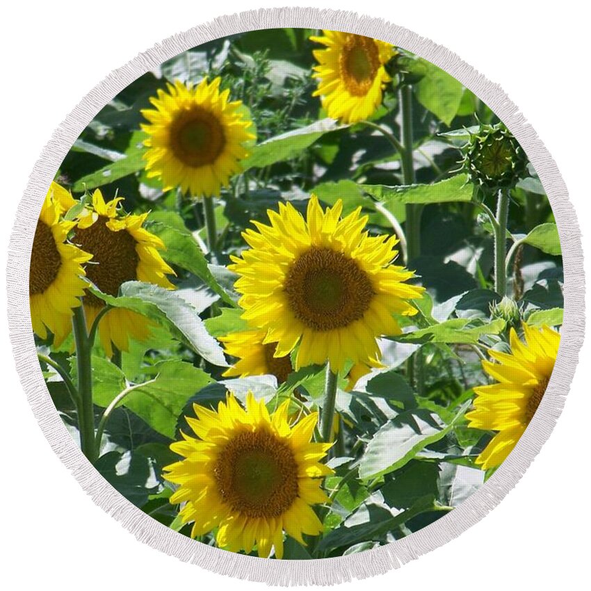 Sunflowers Round Beach Towel featuring the photograph Happy Faces by Jackie Mueller-Jones