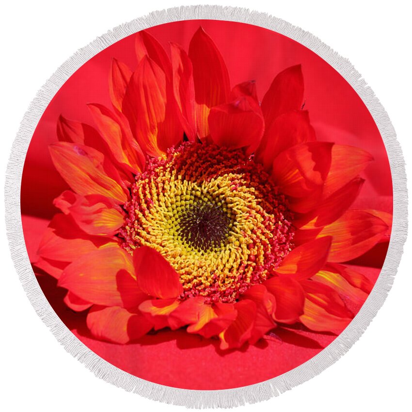 Happy Sunflower Round Beach Towel featuring the photograph Happy Sunflower by Kume Bryant