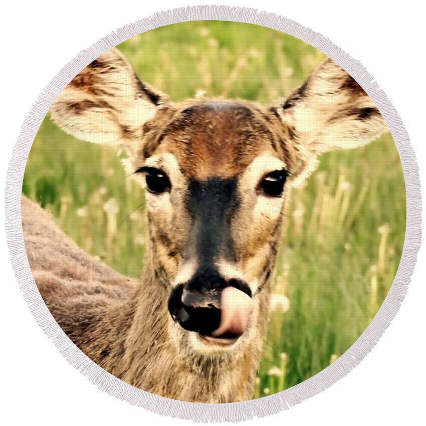 Deer Round Beach Towel featuring the photograph Happy by Tami Quigley