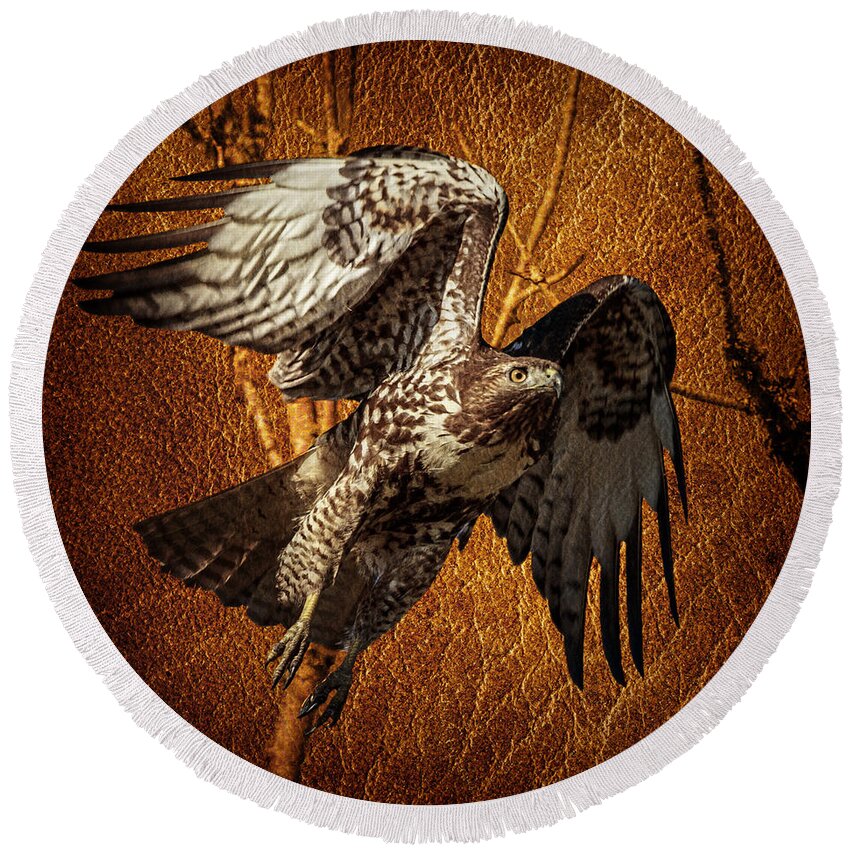 Hawk On Leather Round Beach Towel featuring the photograph Hawk On Leather by Wes and Dotty Weber