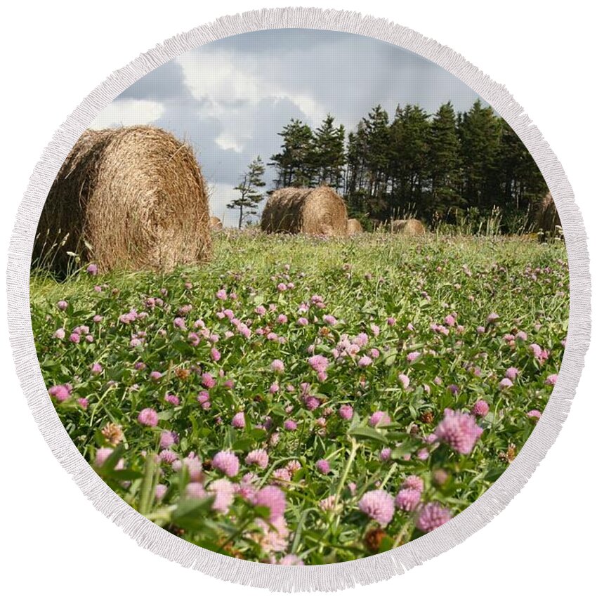 Clover Round Beach Towel featuring the photograph Hay field by Allan Morrison