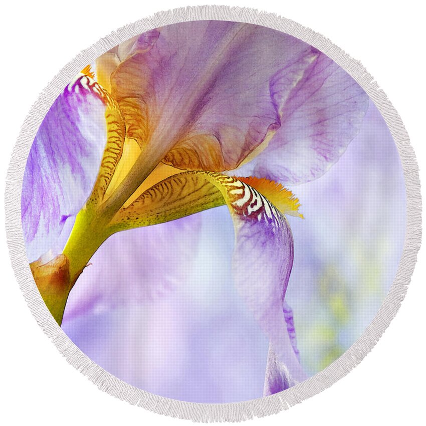 Floral Round Beach Towel featuring the photograph Heavenly Iris 2 by Theresa Tahara