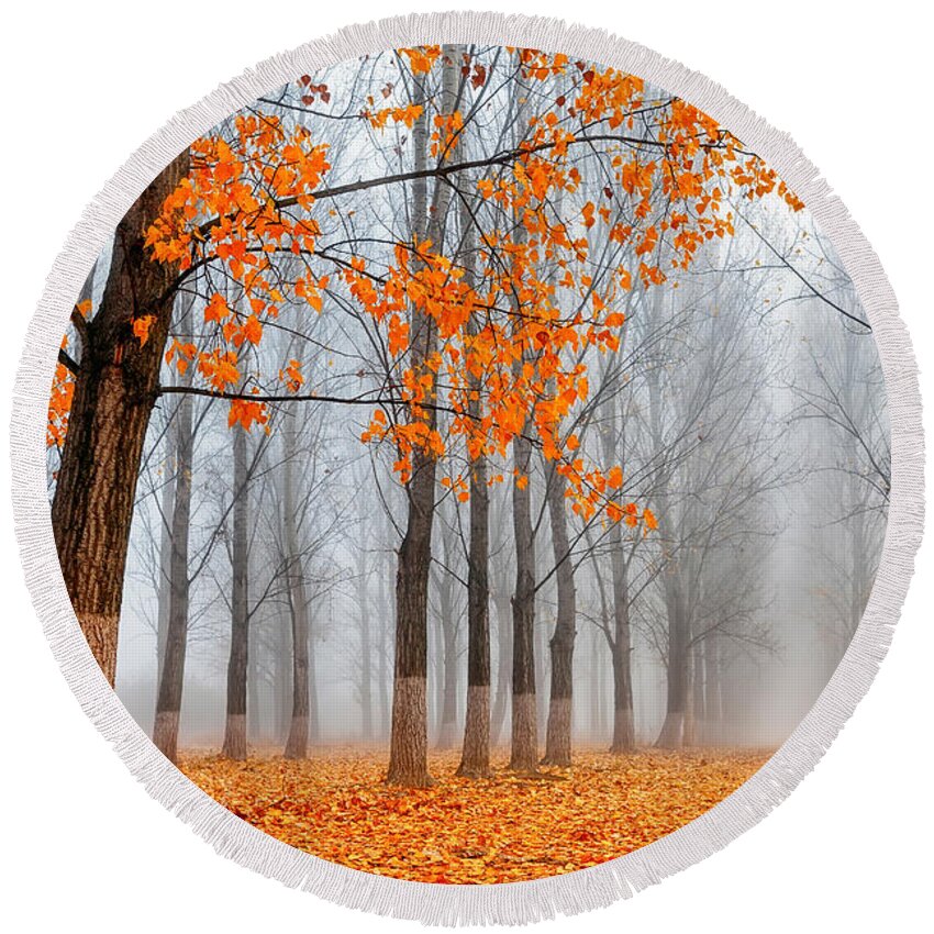 Bulgaria Round Beach Towel featuring the photograph Heralds Of Autumn by Evgeni Dinev