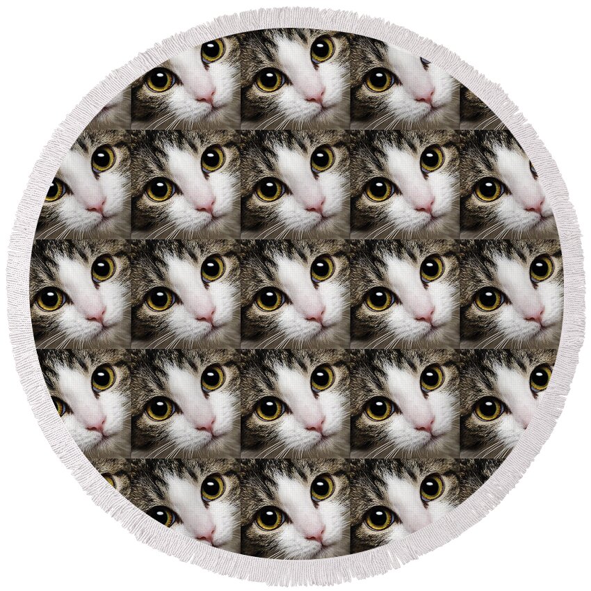 Andee Design Cat Round Beach Towel featuring the photograph Here Kitty Kitty Close Up 25 by Andee Design