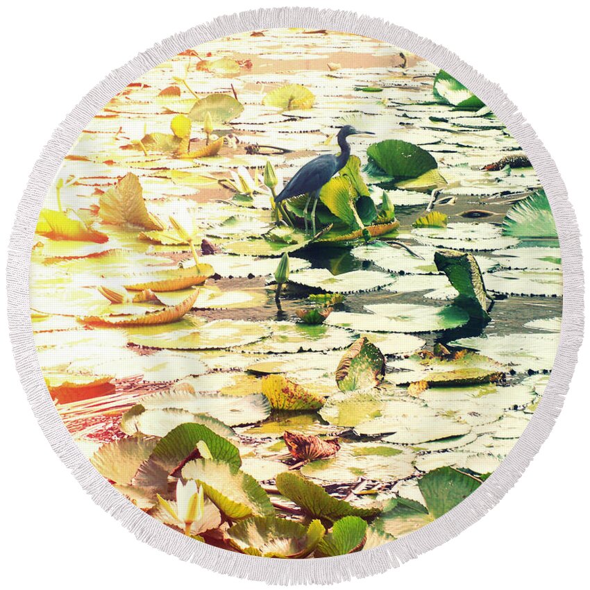 Florida Round Beach Towel featuring the photograph Heron Among Lillies Photography Light Leaks by Chris Andruskiewicz