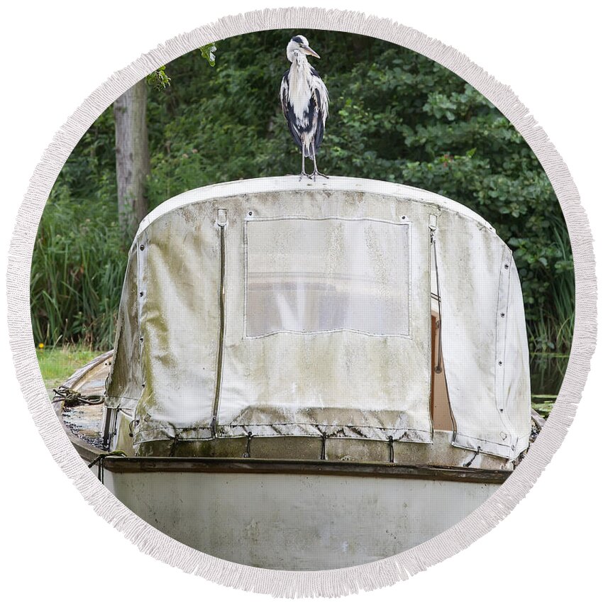 Heron Round Beach Towel featuring the photograph Heron perched on boat by Simon Bratt