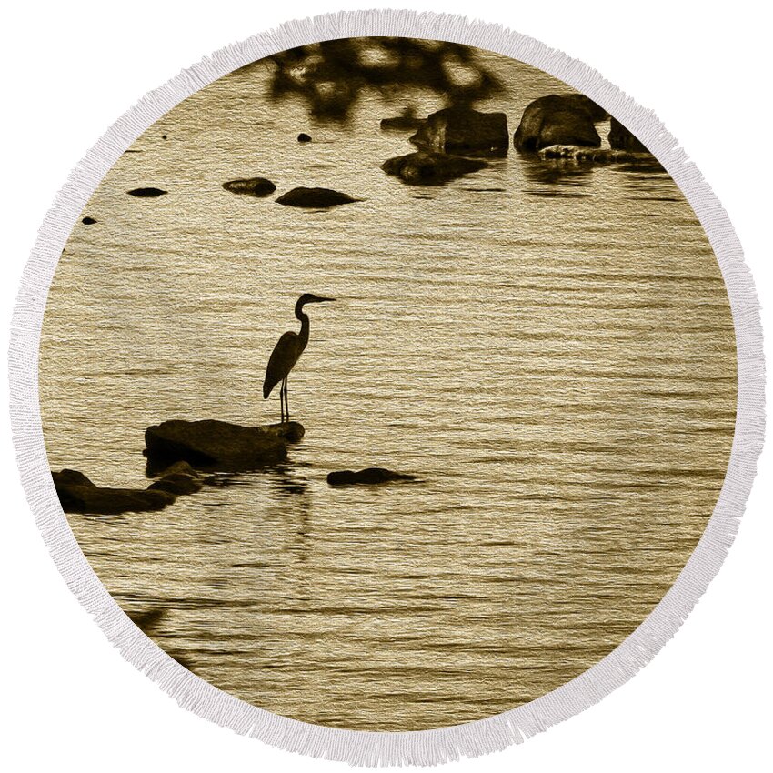 Heron Round Beach Towel featuring the photograph Heron by Phil Cardamone