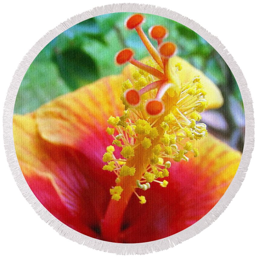 Hibiscus Round Beach Towel featuring the photograph Hibiscus Antennae by Sue Melvin