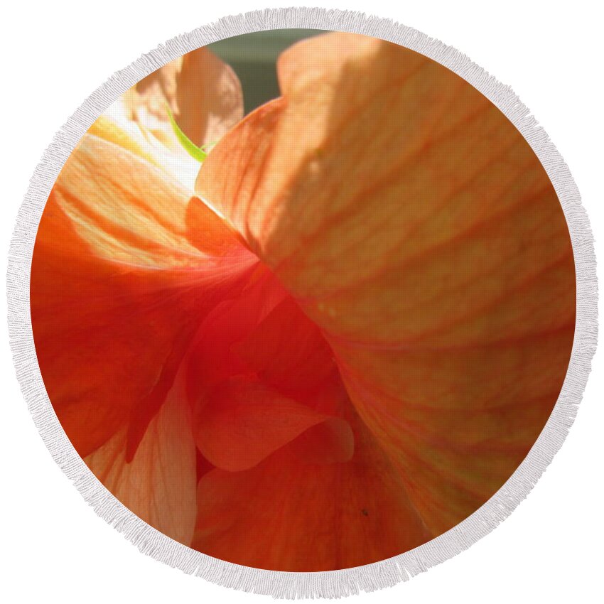 Hibiscus Round Beach Towel featuring the photograph Hibiscus Butterfly by Ashley Goforth