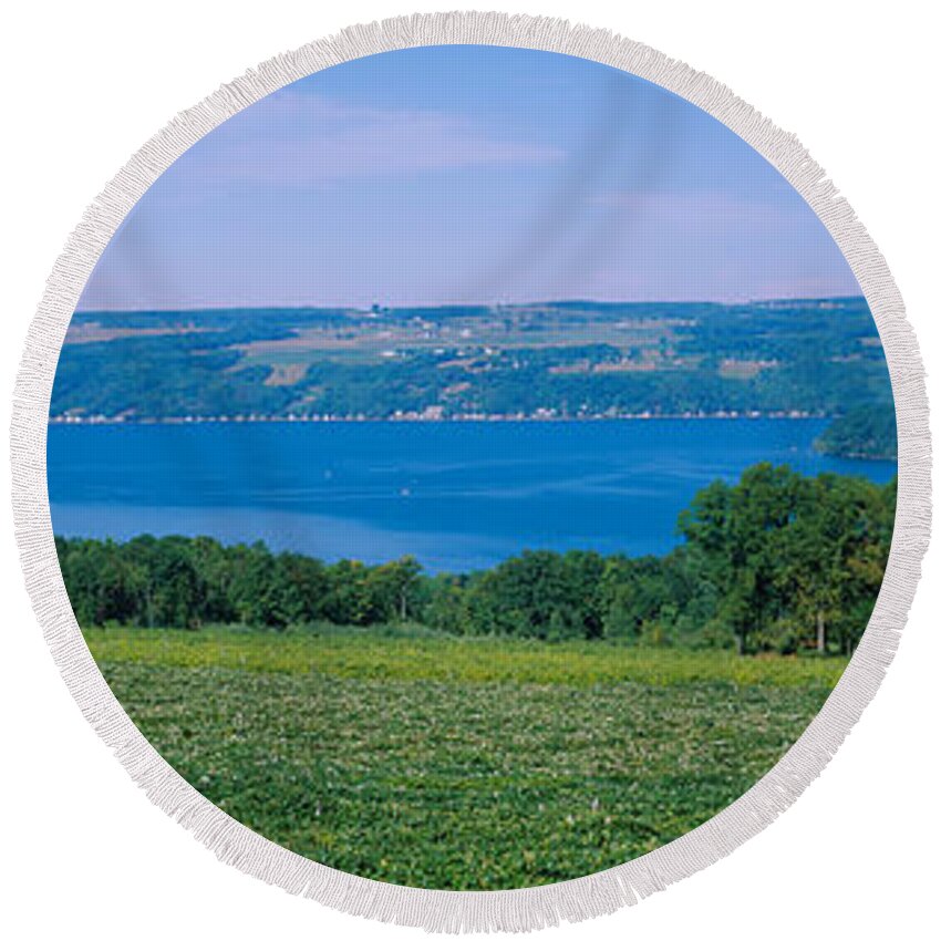 Photography Round Beach Towel featuring the photograph High Angle View Of A Vineyard by Panoramic Images