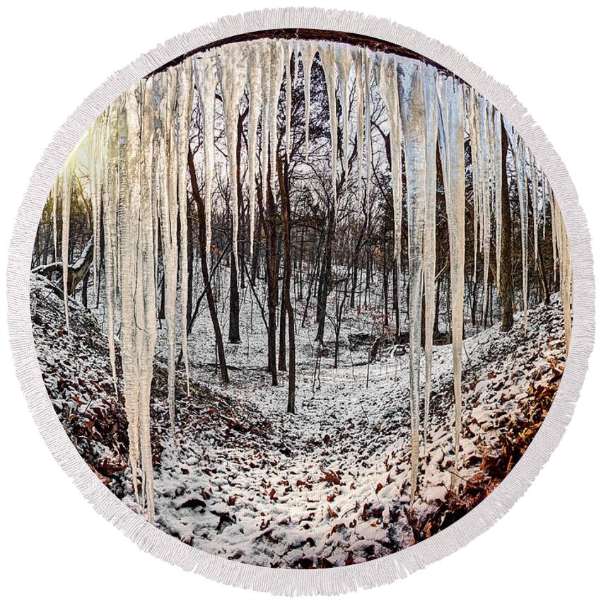 2012 Round Beach Towel featuring the photograph Hinding from winter by Robert Charity
