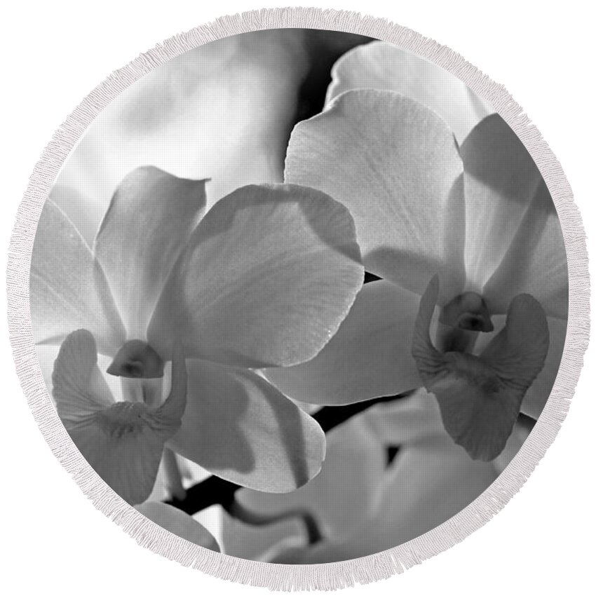 Orchids Round Beach Towel featuring the photograph Hit by Light. White Orchids by Jenny Rainbow