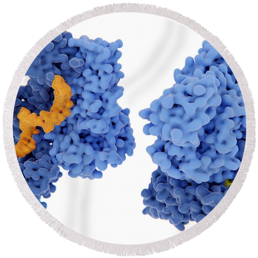 Aids Round Beach Towel featuring the photograph Hiv-1 Reverse Transcriptase, Molecular by Juan Gaertner