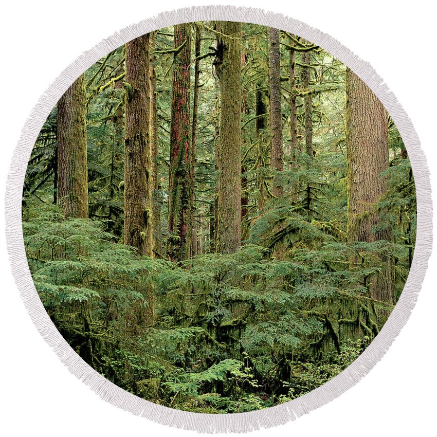 Landscape Round Beach Towel featuring the photograph Hoh National Rainforest by Art Wolfe