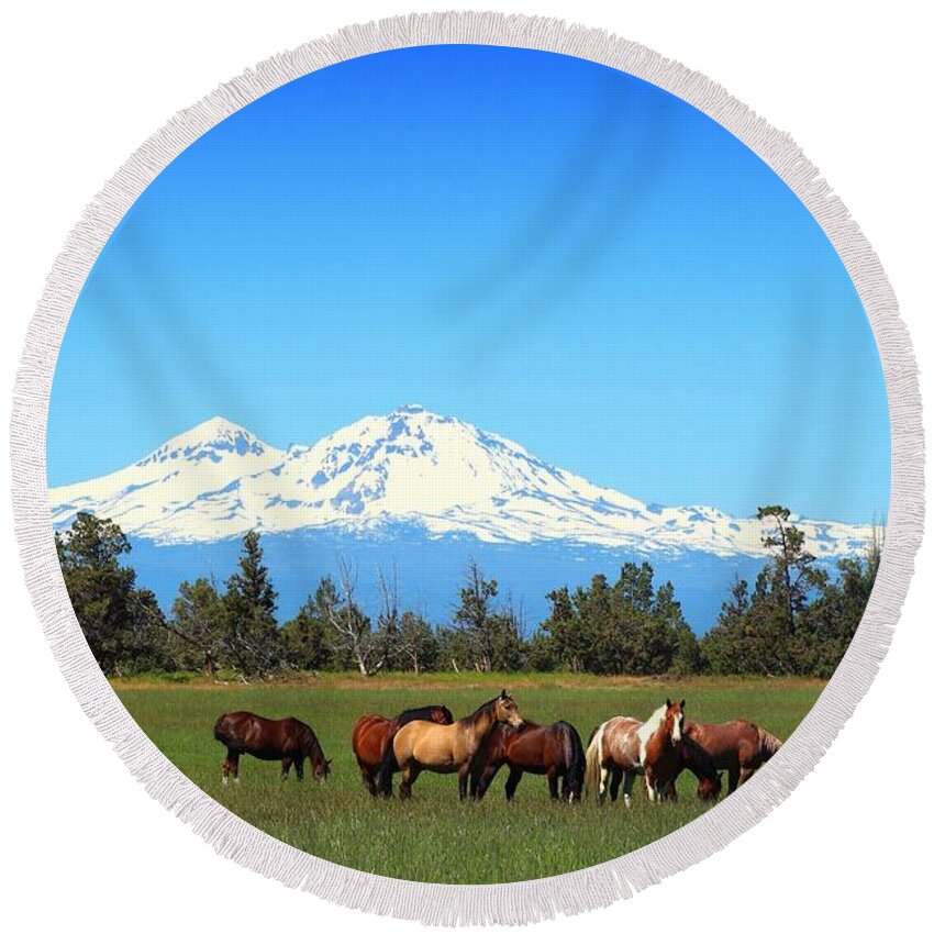 Sisters Mountain Round Beach Towel featuring the photograph Horses at Sisters Mountain by Lynn Hopwood