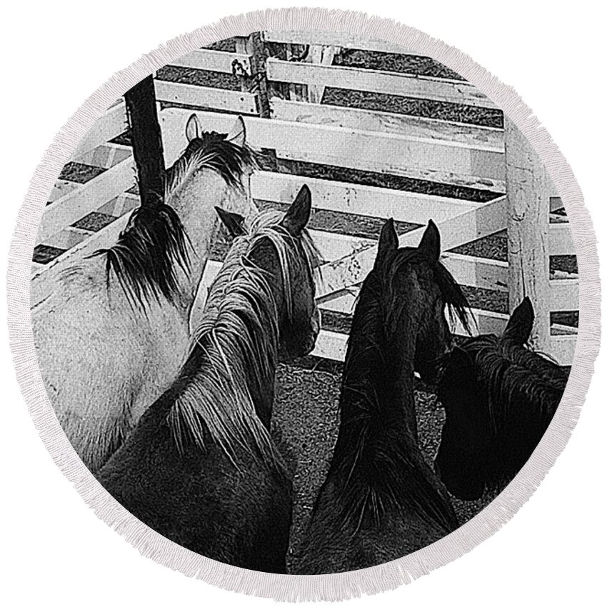 Horses Corral Aberdeen South Dakota 1965 Black And White Round Beach Towel featuring the photograph Horses corral Aberdeen South Dakota 1965 black and white by David Lee Guss