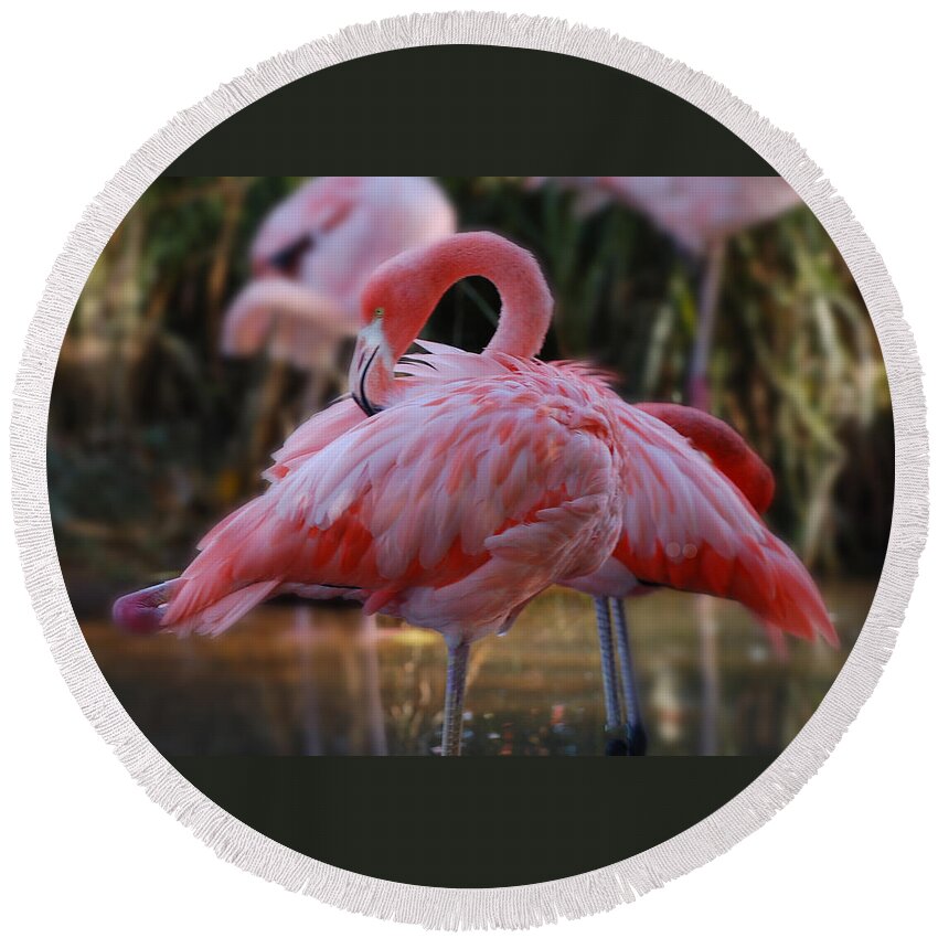 Flamingo Round Beach Towel featuring the photograph face mask Hot Pink by Patricia Dennis