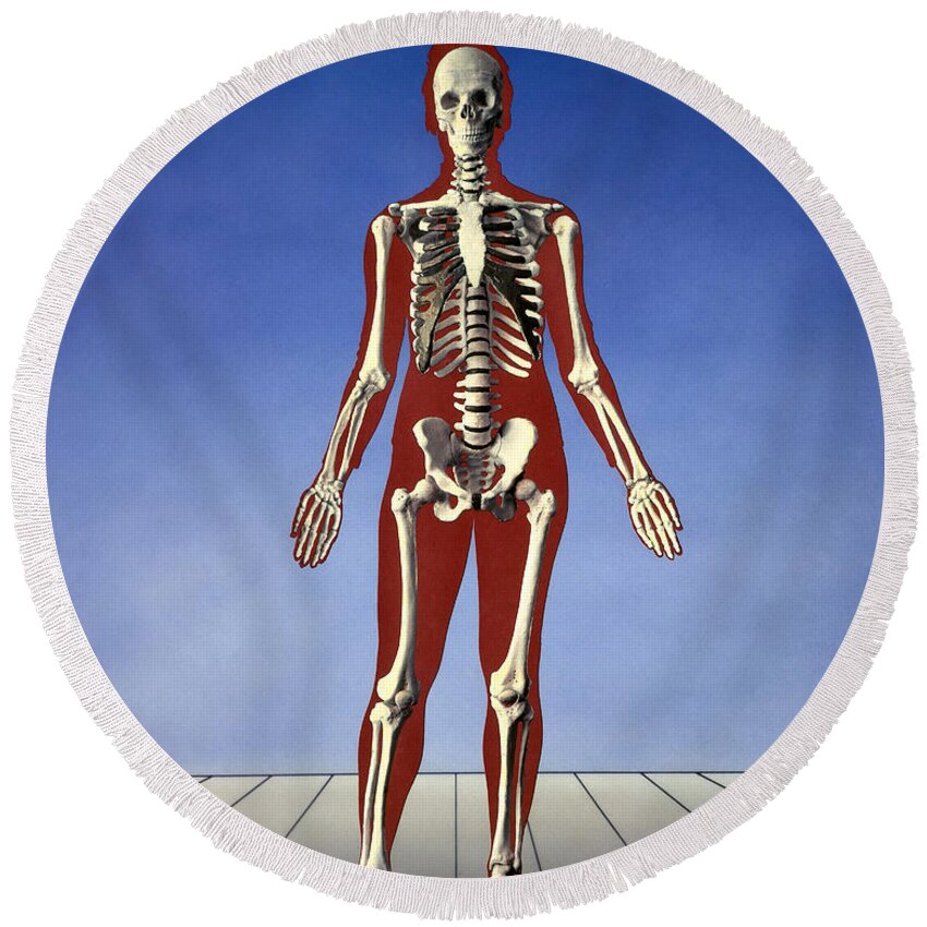 Skeleton Round Beach Towel featuring the photograph Human Skeleton by Bill Longcore
