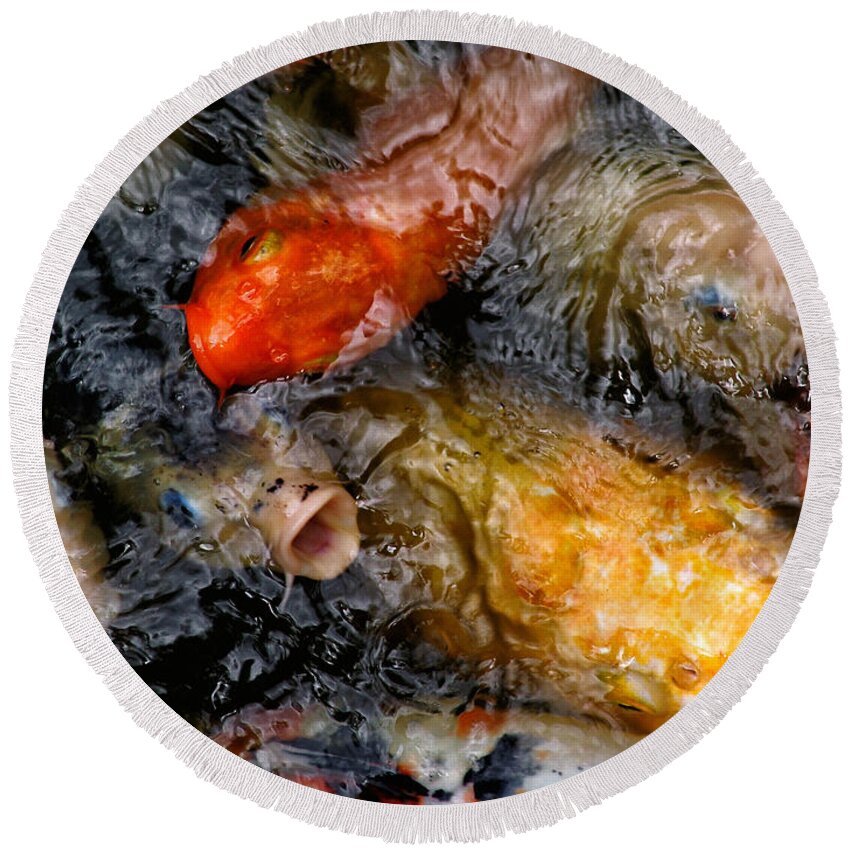Fish Round Beach Towel featuring the photograph Hungry Koi Fish by John Swartz